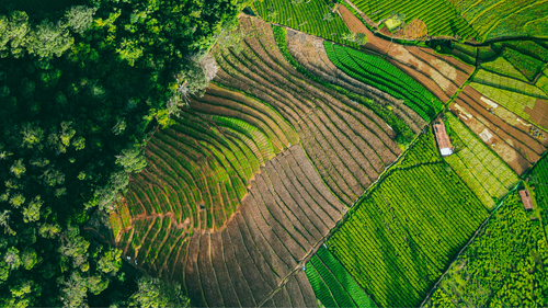 7 Locations In Ooty Famous For Bollywood Shoots 